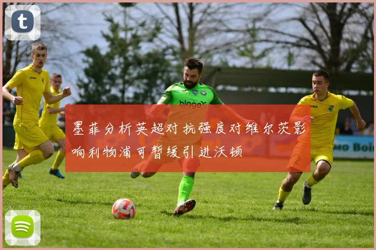 墨菲分析英超对抗强度对维尔茨影响利物浦可暂缓引进沃顿