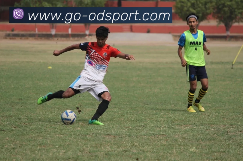 OD体育平台生态图